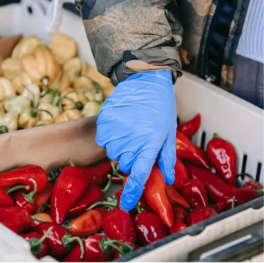 Disposable Nitrile Gloves (8 PCS), Large Size – Waterproof & Anti-Slip