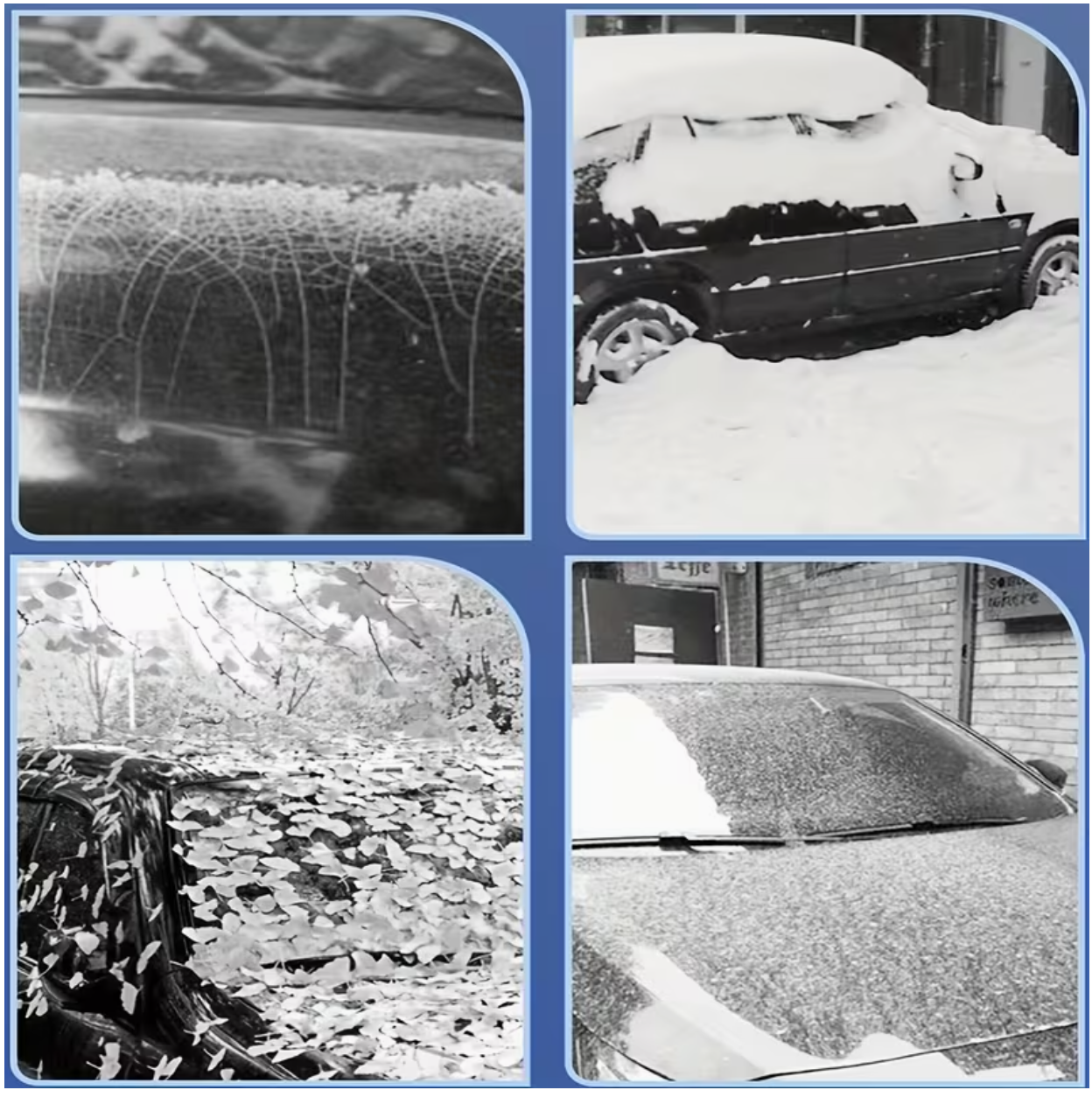 Transparent Car Cover – Full Coverage All-Season Protection